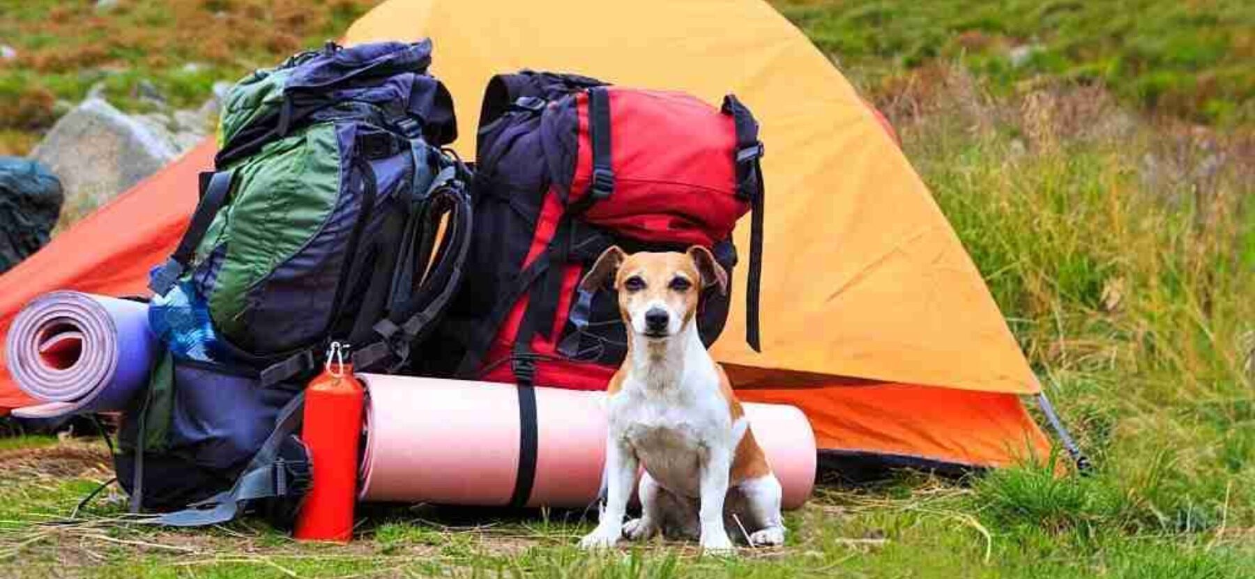 Check and Pack Essential Gear for solo hiking