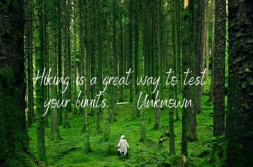 Hiking Quotes for inspiring adventure