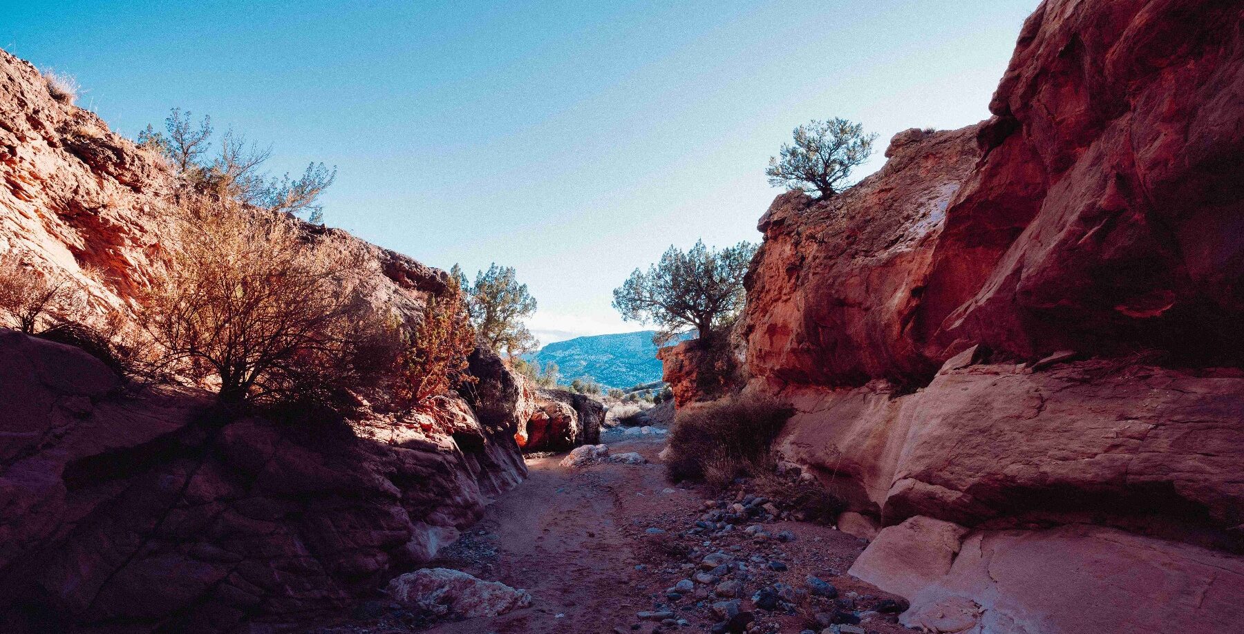 Red Rocks Canyon - Rock Climbing in Las Vegas