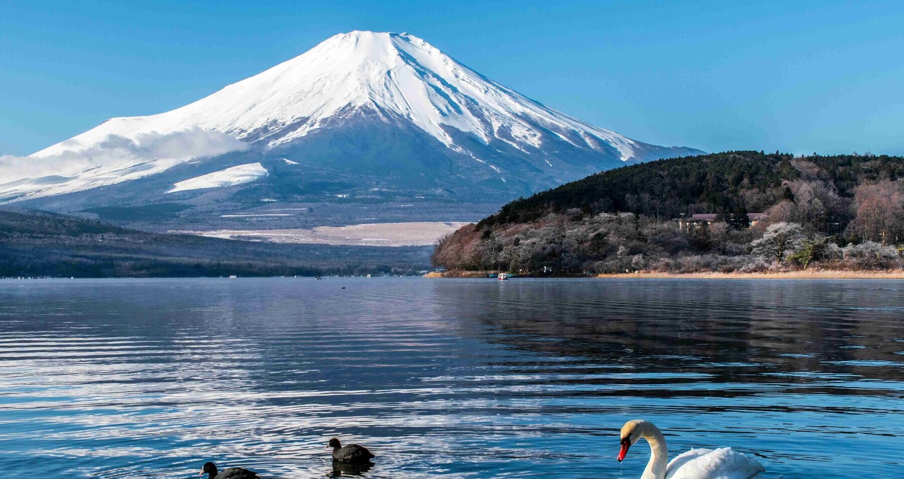 mount Fuji _ mountaineering Japan